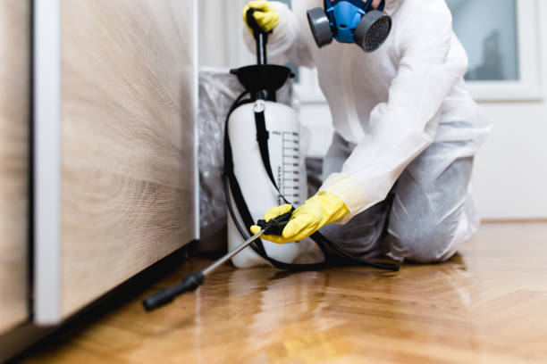 Pest Control for Restaurants in West Reading, PA