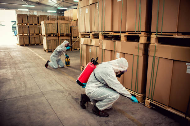 Best Pest Control Near Me in West Reading, PA