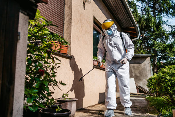 Best Local Pest Control Services  in West Reading, PA