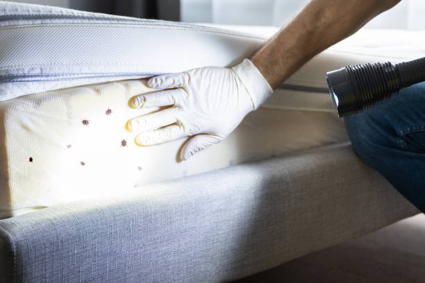 Best Wildlife Control Services  in West Reading, PA