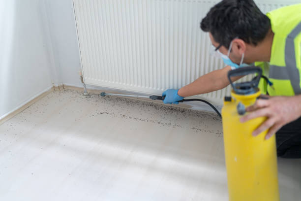 Best Wasp Removal Services  in West Reading, PA